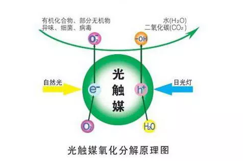 光觸媒能除甲醛嗎？