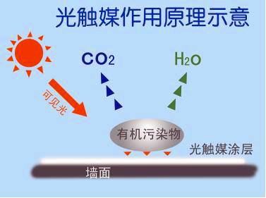 新房除甲醛需要注意哪些？都有哪些有效去除的方法？