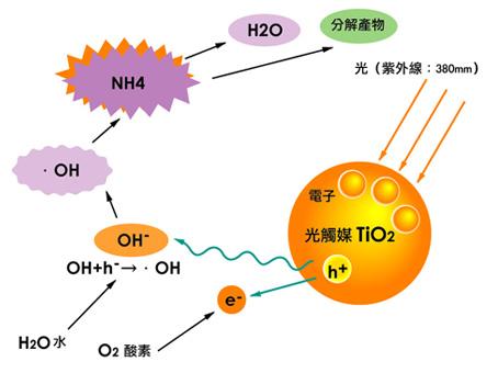 如何辨別劣質(zhì)光觸媒？