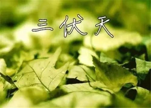 三伏天更要找杭州甲醛檢測公司上門采樣嗎？